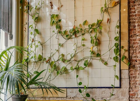 Week-end à Haarlem : confort cosy et départ en toute sérénité - 3* - 9