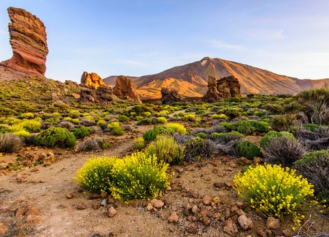Circuit Trésors des Canaries 3* - 5