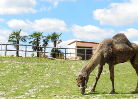 Camping DéfiPlanet', 4* - 11