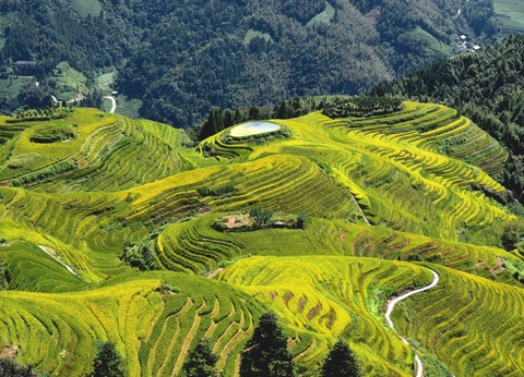 Circuit Rêve de Chine : aventure entre Grande Muraille et collines de thé 4* sup - 16