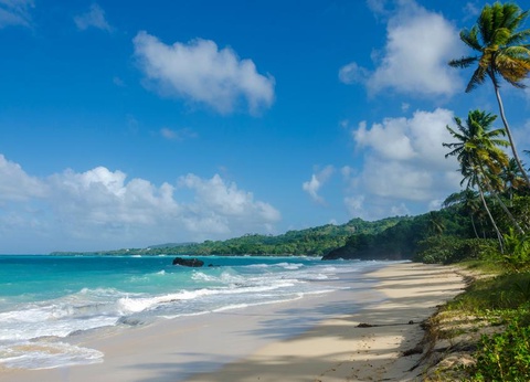 Combiné Hôtel Hodelpa Nicolas de Ovando 5* et Hôtel Bahia Principe Grand El Portillo 5* - 11