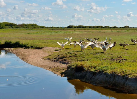 Escapade douceur au coeur du Domaine de la Bretesche - 5* - 11