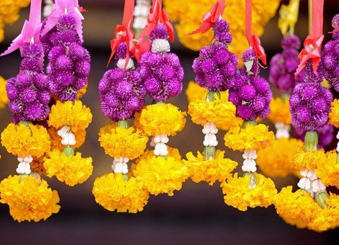 THAILANDE ESSENTIELLE - 9