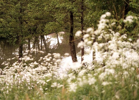 Camping L'Oree de l'Océan, 4* - 20