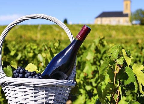 Séjour dans la charmante ville de Collioure, en bord de mer et vin du domaine Cazes - 3* - 7
