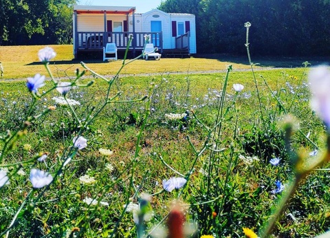 Camping Le Valenty - 4