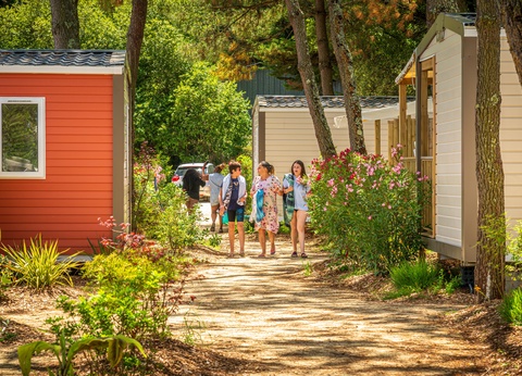 Camping Riez à la Vie 4* - 28