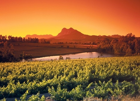 I Love Afrique du Sud & Chutes Victoria - 16J/13N - Du 10/01 au 21/03/26 - 8