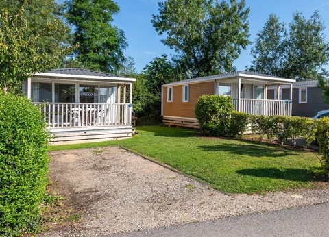 Flower Camping Vitamin, 4* - 20