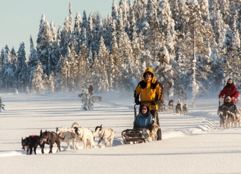 Circuit Rêveries en Laponie et nuit en igloo de verre - 6