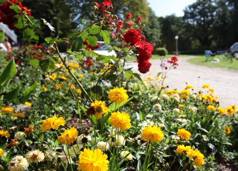 Camping de Kerisole 3* - 2