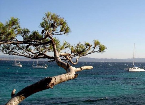 Camping Tikayan Domaine du Golfe de Saint Tropez, 4* - 26