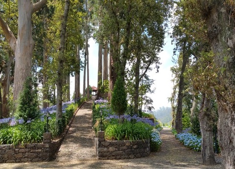 Hôtel Quinta da Serra 5* - 11