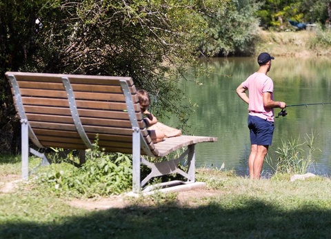 Camping le Moulin, 4* - 53