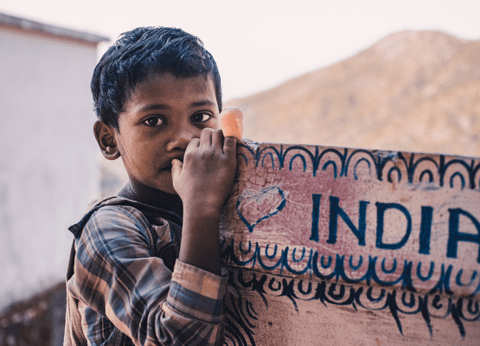 Circuit Le livre de la Jungle, entre oiseaux et tigres, en privatif - 5