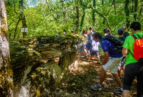 Camping Le Lac aux oiseaux - 19