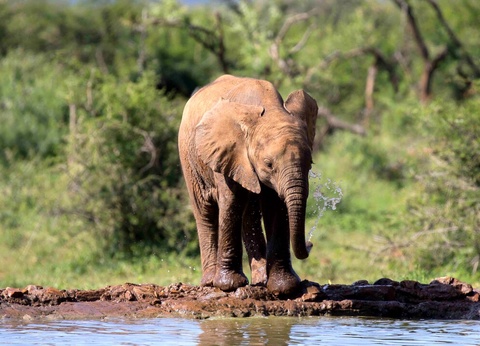 Safari Féeries d'Afrique - 18
