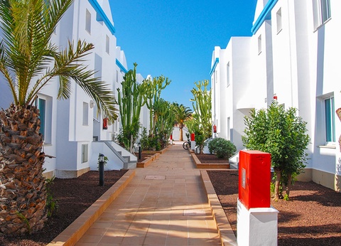 Hôtel Arena Beach 3* - 8