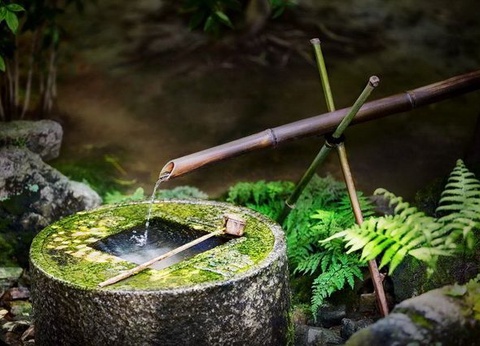 Carpe Diem au Japon - 17