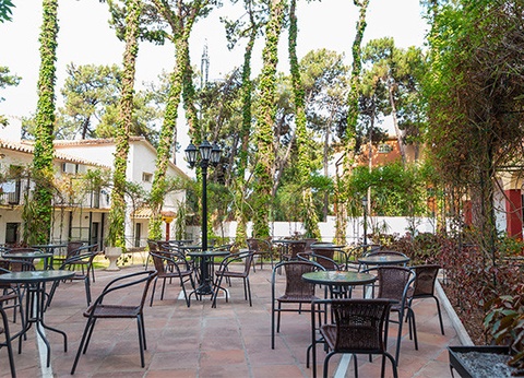 Hôtel Club Framissima AluaSun Marbella Park 4* - 14