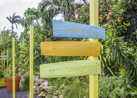 Villas Iguane House & Micro Spa - 19