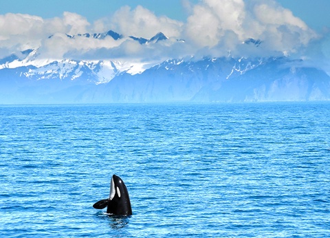 City Break 3 nuits - Escapade Estivale - 12