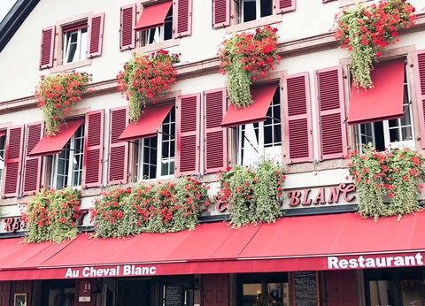 ÉVeil des sens avec dîner et accès spa inclus à Ribeauvillé - 3* - 2