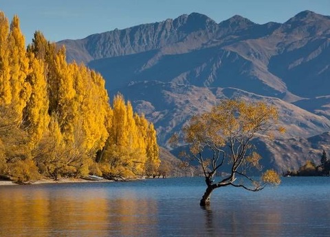 CIRCUIT LA NOUVELLE ZELANDE EN LIBERTE DEPART AUCKLAND - 10