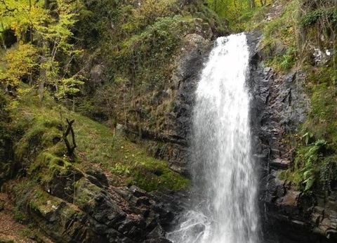 Camping L'Eau Vive, 4* - 54