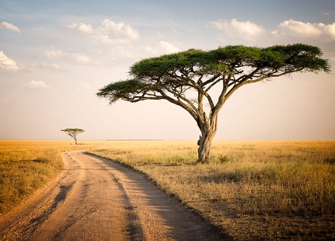 Ôclub Experience Nest Style Beach Hotel 4 * - 12