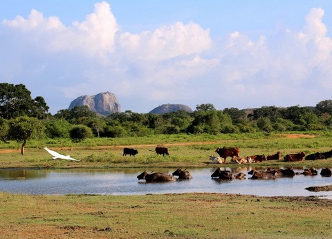 Circuit Ceylan Bonheur - 19