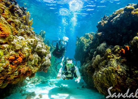 Hôtel Sandals Montego Bay 5* - 101