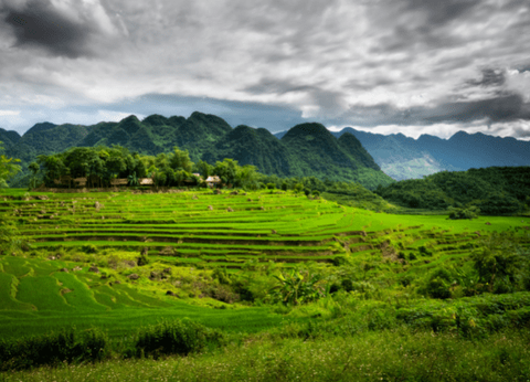 Circuit Des Rizières de Mai Chau à la Baie d'Halong - 9