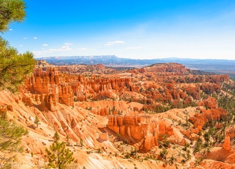 Circuit Beautés de la Côte Ouest Américaine - 7