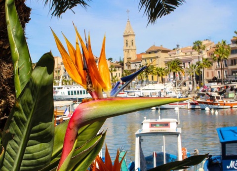 Camping Mas de Pierredon 5* - 69