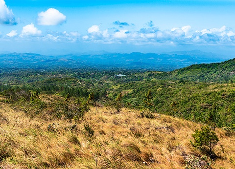 Circuit Panama authentique et plages du Pacifique (maximum 16 participants) - 11