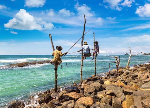 Circuit Merveilles du Sri Lanka et Extension Fihalhohi Island 4* Maldives - 14