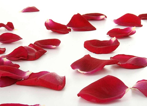 Séjour romantique avec spa, lovebox près d'Avignon - 4* - 18