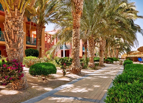 Hôtel Sheraton Miramar Resort El Gouna 5* - 16