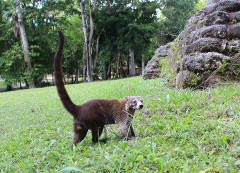 Circuit Coeurs Tz'utujil - 20