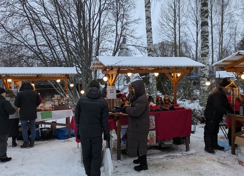 La Magie de Noël au Coeur de la Laponie Suédoise - 9