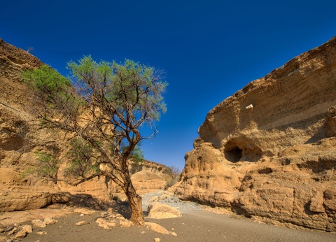 Trésors d'Afrique Australe - 16J/13N - 8