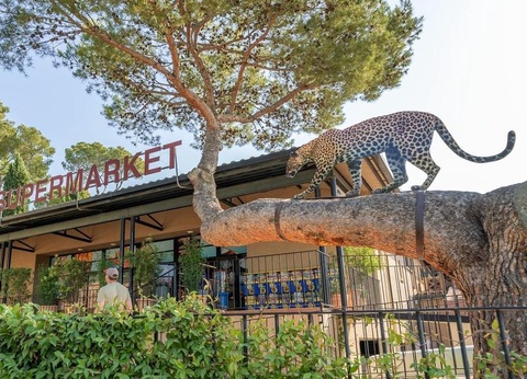 Camping Castell Montgri, 4* - 38