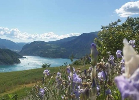 Camping La Presqu'île 4* - 50