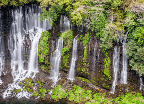 Circuit Merveilles Nippones et Tokyo à sa guise - 17
