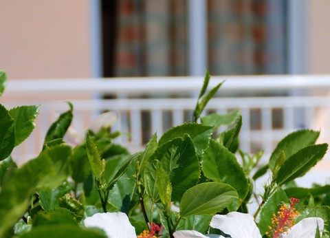 Hôtel Diagoras Hotel 3* - 24