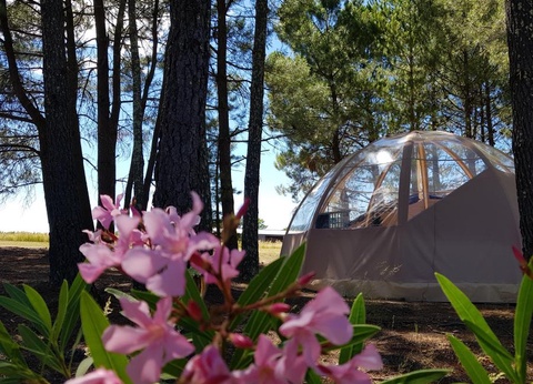 Camping Hello Soleil, 3* - 7