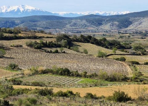 Camping Le Pinada, 3* - 41