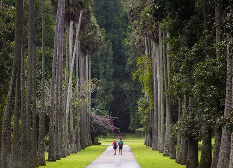 Splendeurs du Sri Lanka - 9