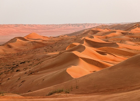 Circuit Le Sultanat d'Oman, l'Arabie heureuse - 2